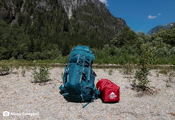 MSR Elixir 4-Person Lightweight Backpacking Tent