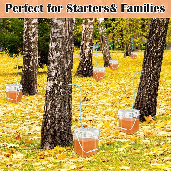 Maple Syrup Tapping Kit with 5 Stainless Steel Maple Tap Spiles HooksClear Buckets lids6 plugs19FT Food Grade Tubing Filters etc for Experts or Beginners Maple Syrup Collection Supplies