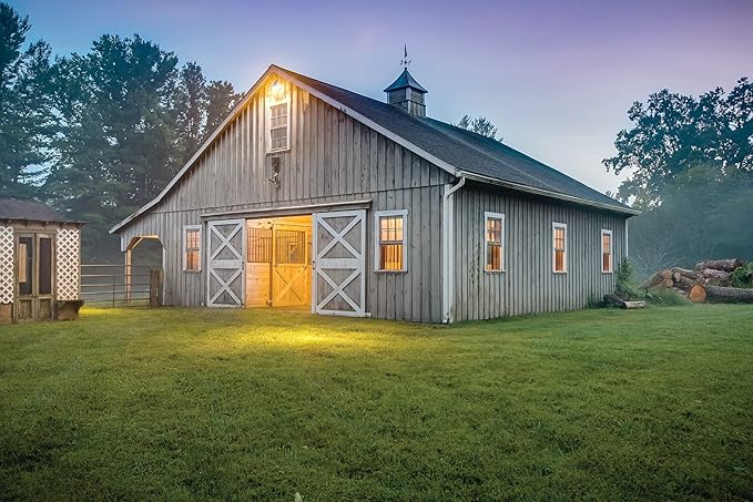 Lithonia Lighting BarnGuard LED Barn Light Dusk to Dawn Outdoor Lighting with Adjustable Brightness and Color Temperature Wall or Pole Mountable Yard Light Fixture MVOLT Aluminum Gray