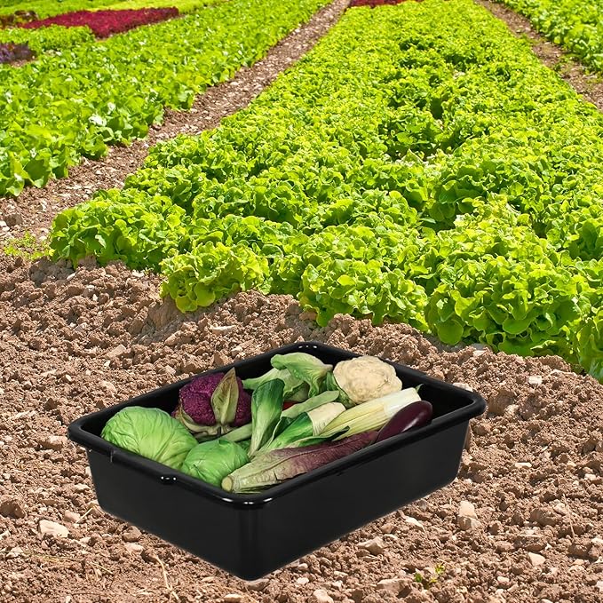25 L Commercial Bus Boxes 4-Pack Plastic Dish Bus Tub Black