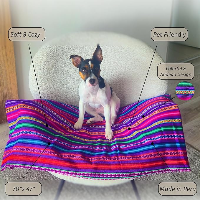 Lucio Fabrics Unique Native Peruvian Throw - Vibrant Colors Lightweight Durable - HomeYoga BeachCampingPicnicOutdoor Activities Thin Blanket 70'' x 47'' (Purple Festive Rainbow)
