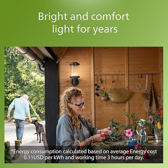 PHILIPS LED Round Up Outdoor Wall Lantern 1-Pack Bright White (3000K) 650 Lumen (11W = 50W) Weather Resistant