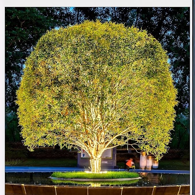 Outdoor Ring Tree Light - AC 24V Colored LED IP65 Waterproof Palm Tree Uplighting with Adjustable Tree Rings Expandable Interlocking LED Uplighting or Downlight for Trees/Roman Columns(4 pack)