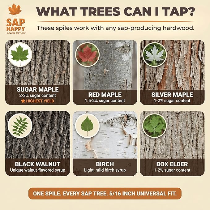 SAP HAPPY Maple Sap Spiles (50 Count) 5/16 Ecolo Taps for Maple Trees Maple Syrup Spile Tree Saver Spouts (50 Count)