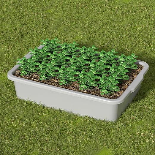 Light Gray Bus Tub 35 L Plastic Commercial Bus Tubs 4 Packs