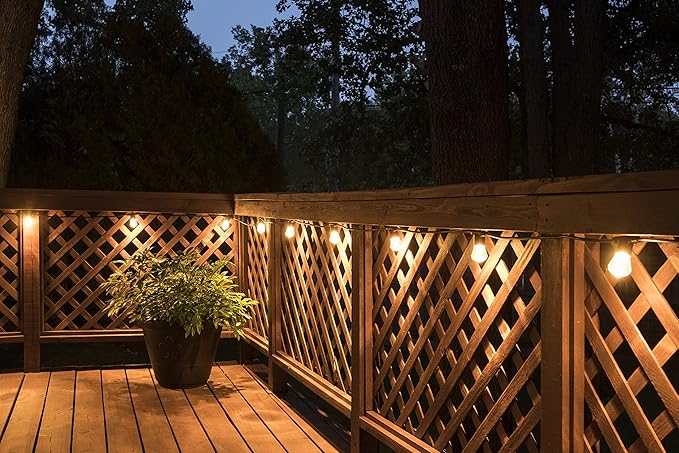 Enbrighten LED Bistro Outdoor String Lights 24ft 12 Shatter Resistant Lifetime Bulbs 2200K Warm White Weather Resistant Indoor/Outdoor Commercial Grade Perfect for Backyard Porch Patio 38356
