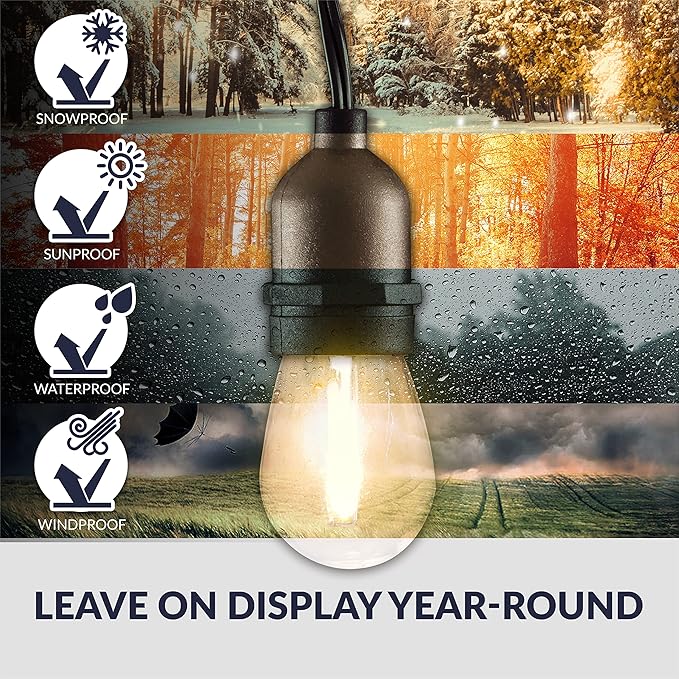 Newhouse Lighting LED String Lights with Weatherproof Technology Dimmable with Wireless Remote Control 48ft and 16 (15+1 Free) LED Light Bulbs Included Black (CSTRINGLEDDIM)