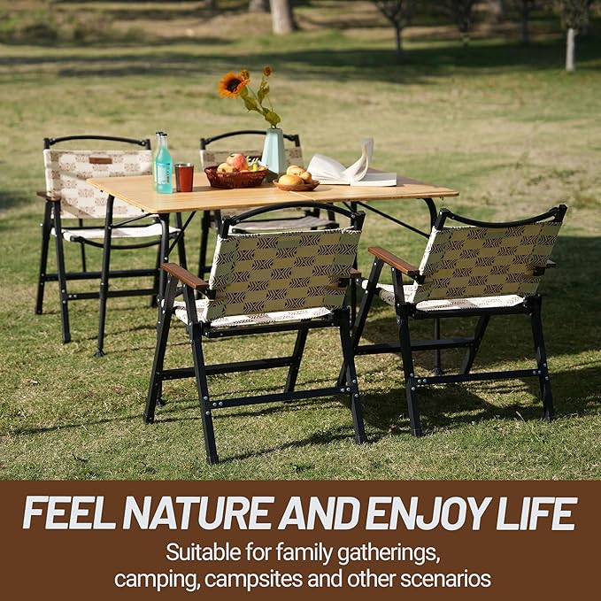 Folding Camping Chair Lightweight Portable Beach Chairs Armchairs Printed Canvas Perfect for Festivals Fishing Picnic Party Hiking (2)