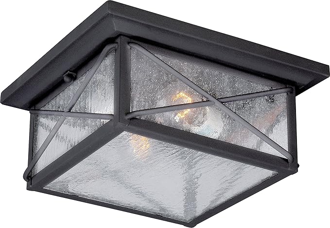 Nuvo Lighting 60/5626 Wingate Flush 2 Light 60-watt A19 Outdoor Close to Ceiling Porch and Patio Lighting with Clear Seeded Glass Textured Black