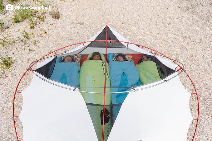 MSR Elixir 4-Person Lightweight Backpacking Tent