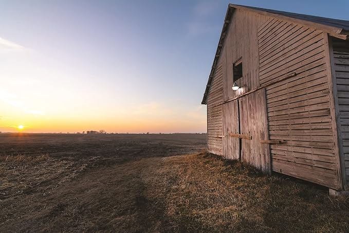 Lithonia Lighting BarnGuard LED Barn Light Dusk to Dawn Outdoor Lighting with Adjustable Brightness and Color Temperature Wall or Pole Mountable Yard Light Fixture MVOLT Aluminum Gray