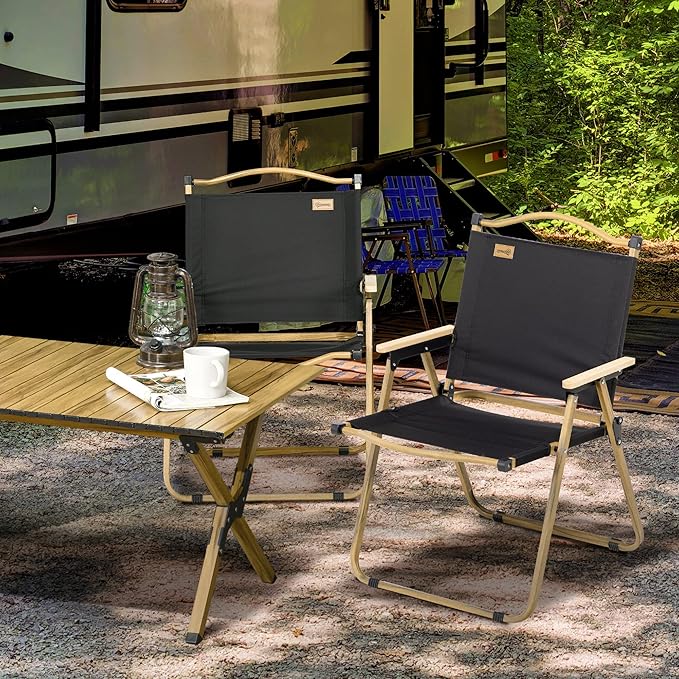 2 Pack Folding Camping Chair Lightweight Portable Beach Chairs Armchairs Perfect for Festivals Fishing Picnic and Hiking Black