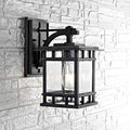 SAFAVIEH PLT4013A Lighting Grayter Black Wall (LED Bulb Included) Outdoor Lantern