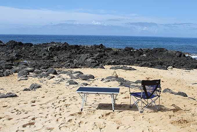 TravelChair Grand Canyon Table Silver/Black/Metal
